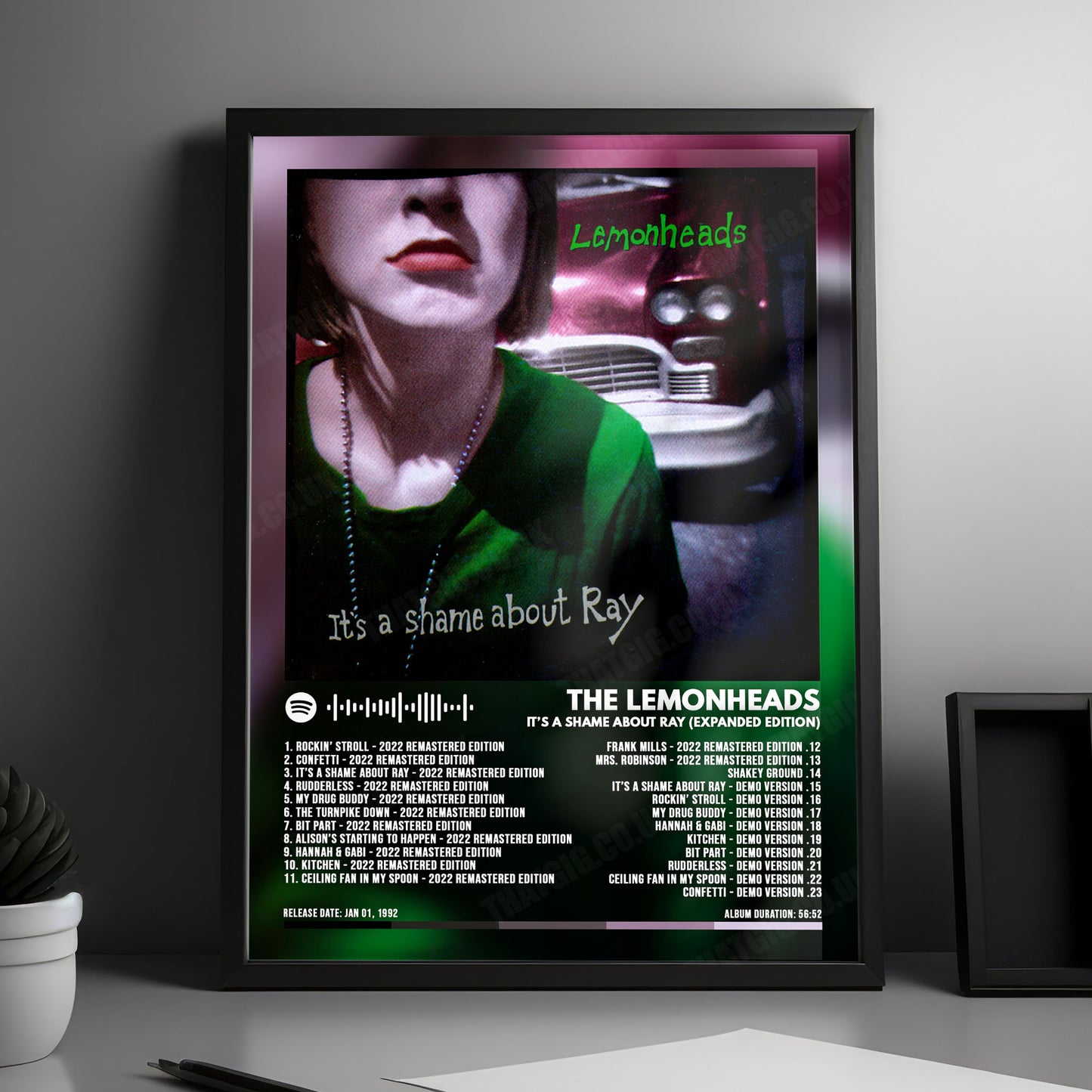 The Lemonheads "It's a Shame About Ray" Album Cover Poster - with Complete Tracklist