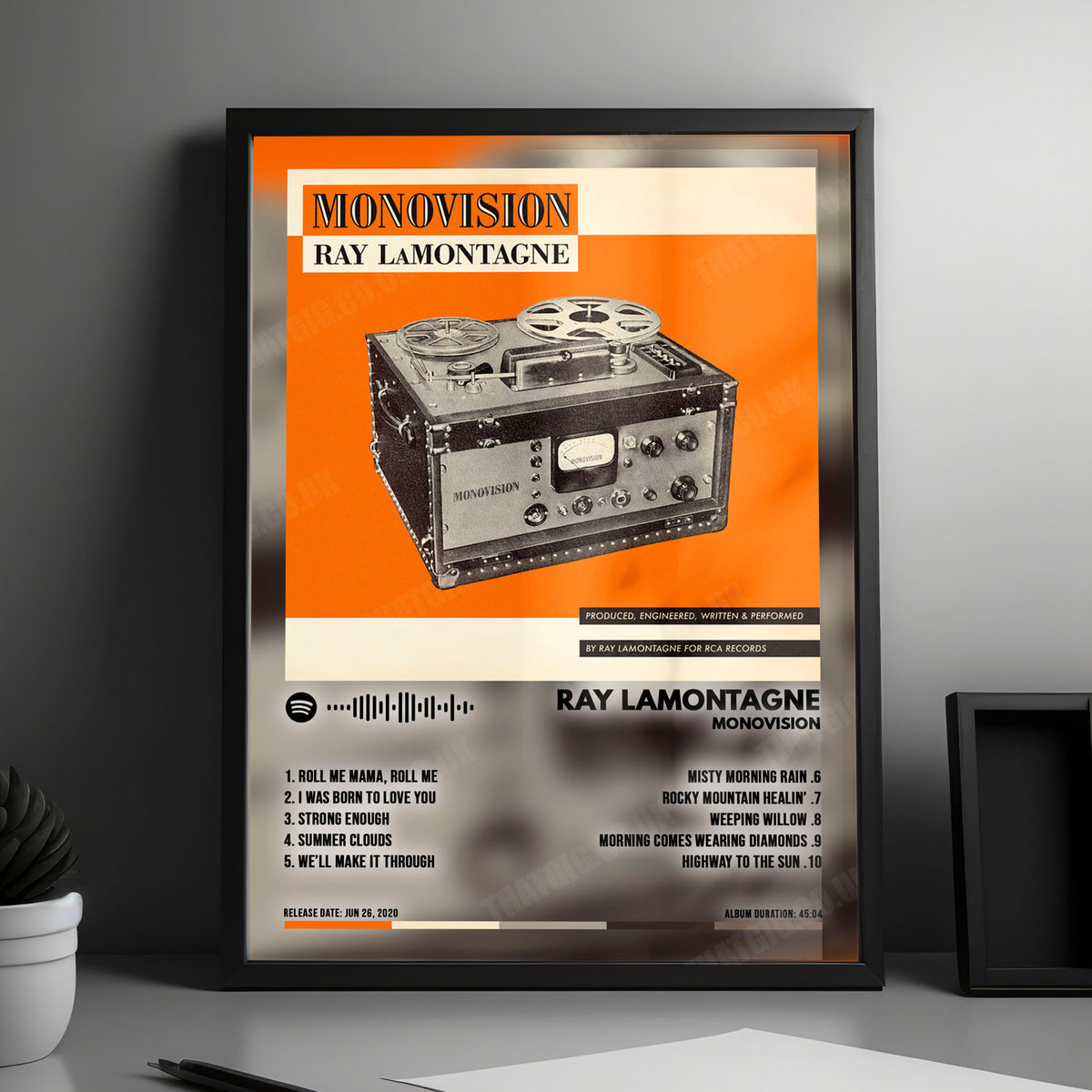 Ray LaMontagne "MONOVISION" Album Cover Poster - with Complete Tracklist