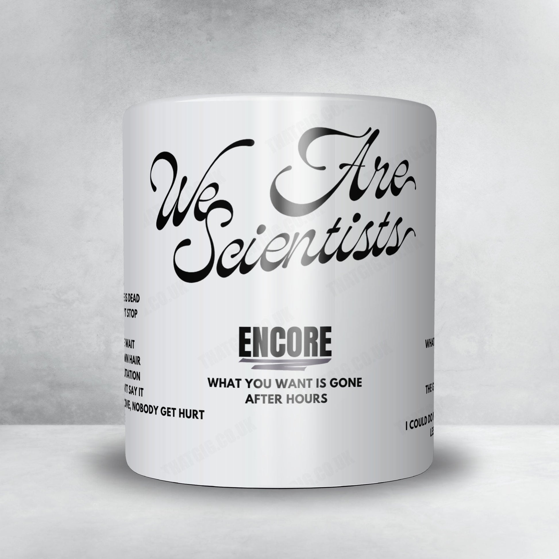 We Are Scientists Setlist Mug - Temple Newsam, Leeds - May 24th, 2025