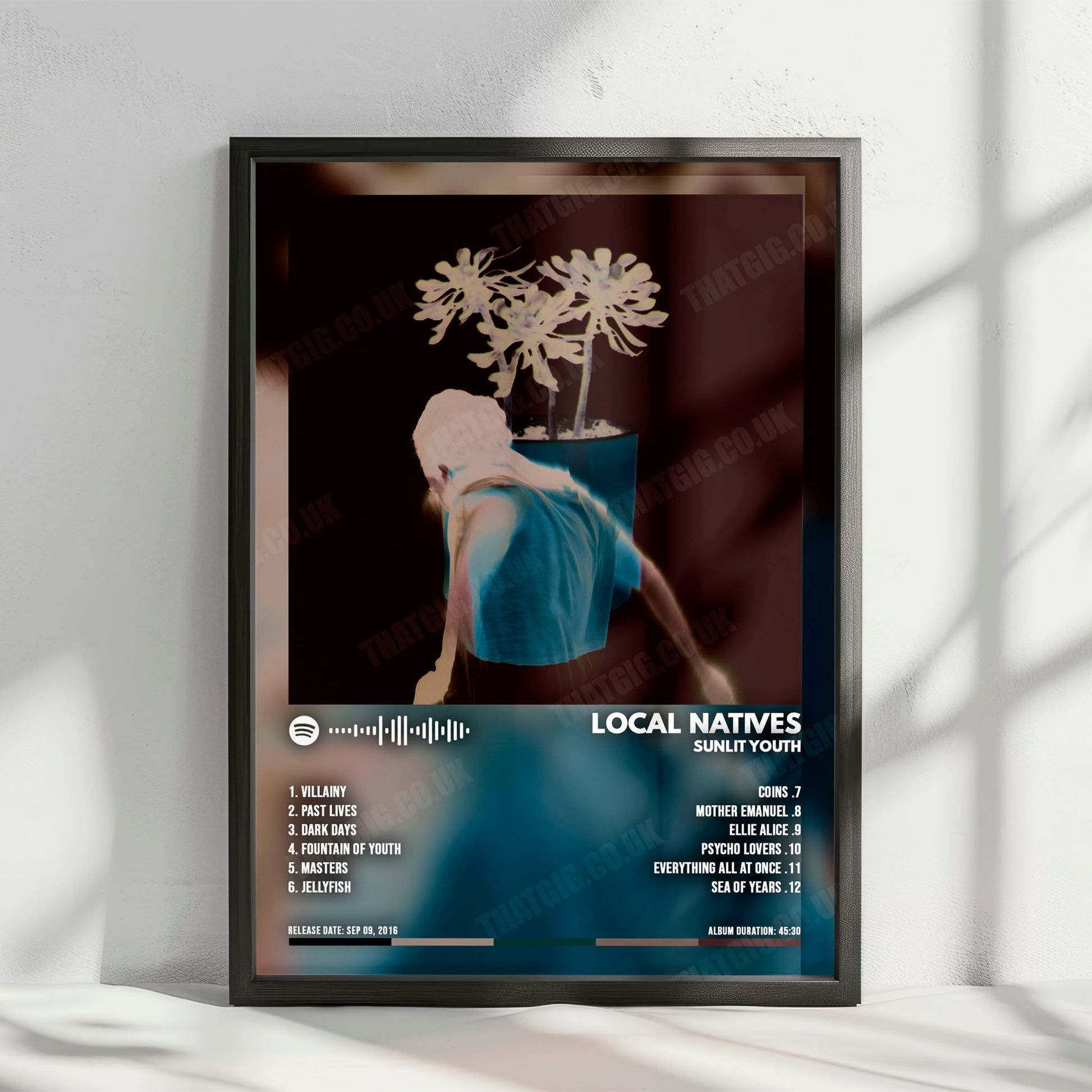 Local Natives "Sunlit Youth" Album Cover Poster - with Complete Tracklist